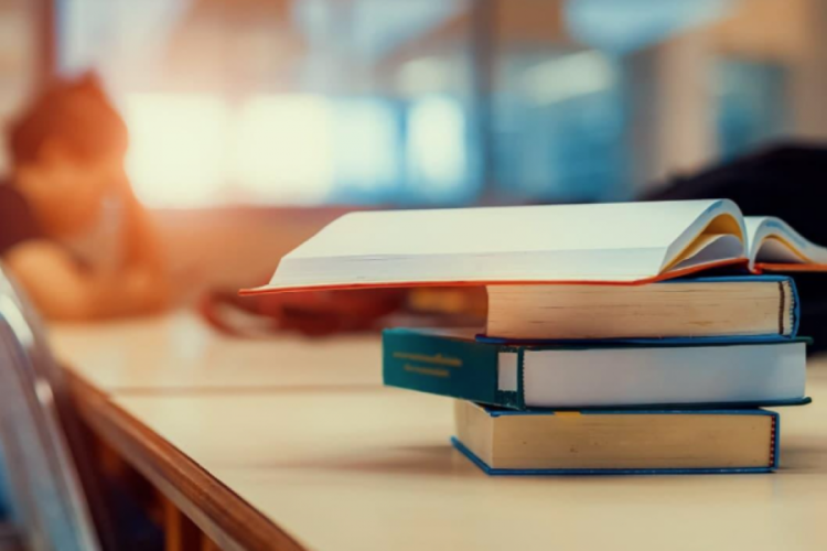 Türkiye-Suriye Üniversitesi kurulması planlanıyor