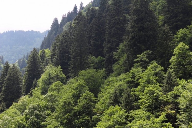 Bursa'nın komşu ilinde yasaklandı! 5 ay...