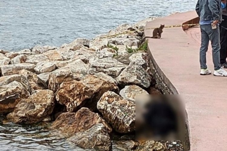Sahilde kayalıklarda erkek cesedi bulundu