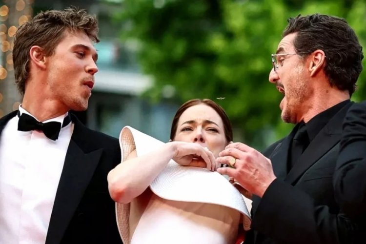 Emma Stone'un arı korkusu