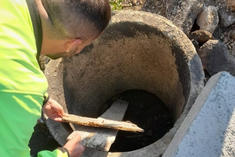 Bursa'da şaşkına çeviren olay! Su hattının içinden çıktı