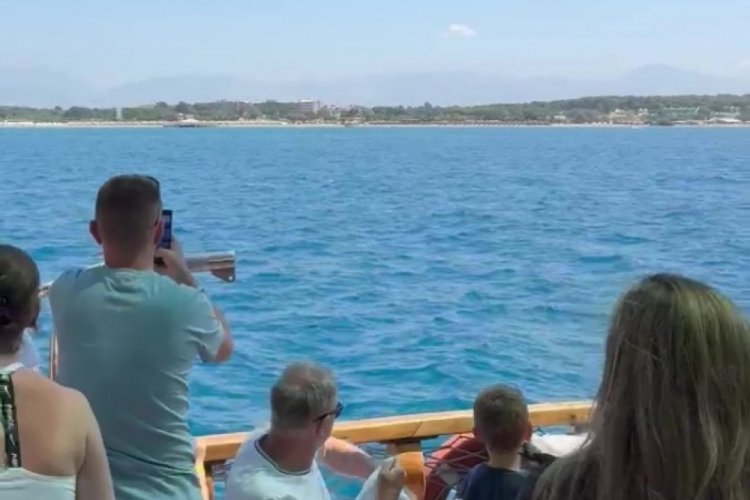 Akdeniz foku görüntülendi, turistler hayretler içinde izledi