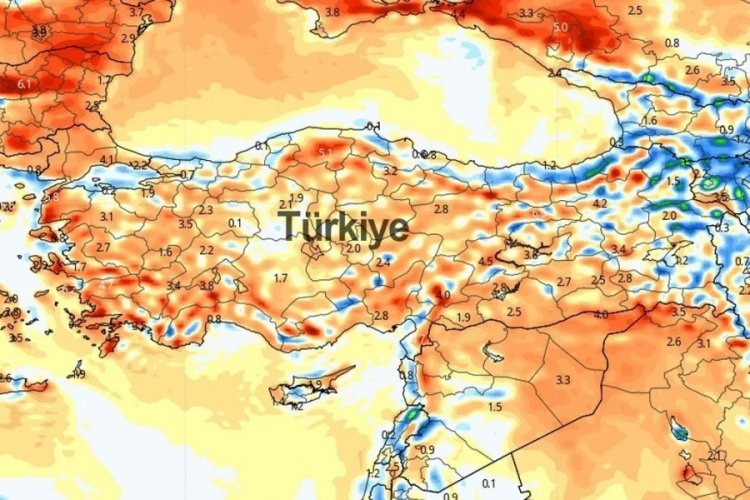 81 il çok dikkatli ol! Her yerdeler: Ya can alıyor ya da...