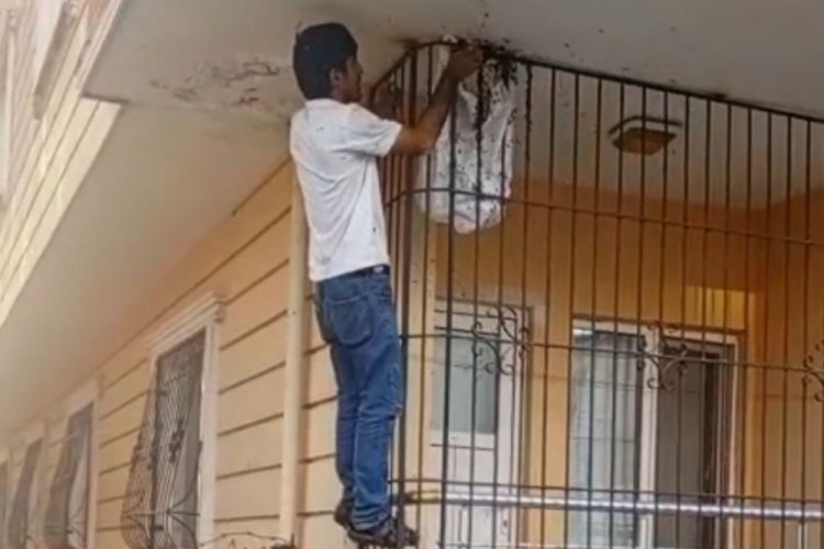 Arılara fısıldayan adam! Onu sokmuyorlar...