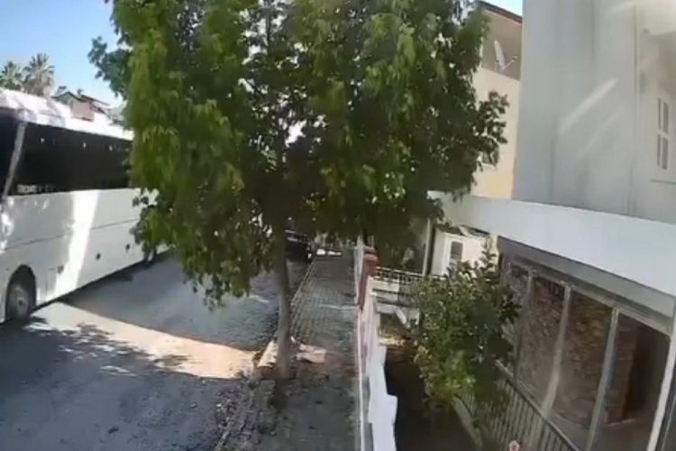 Otobüs şoförü sokak köpeğini ezdi