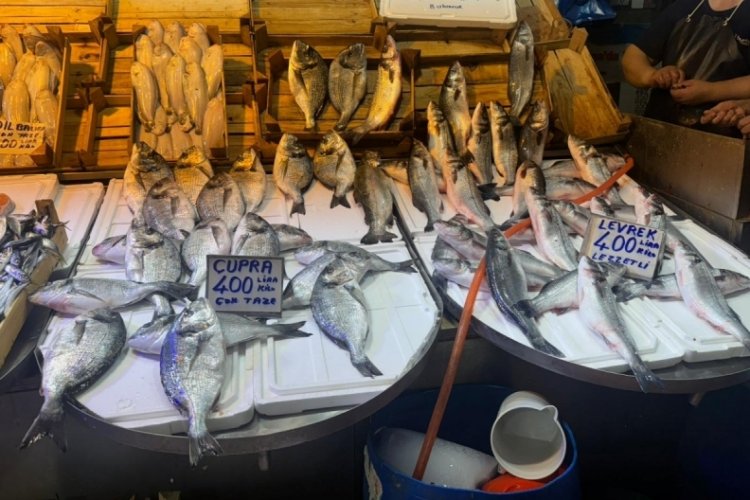 Bursa'da balık tezgahlarında şoke eden rakamlar! Resmen uçuşa geçtiler...