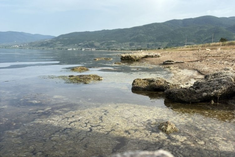 İznik Gölü'nde endişe yaratan durum!
