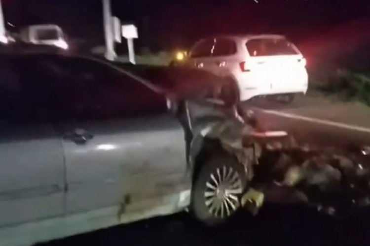 Iğdır'da otomobil çarpan 25 koyun telef oldu