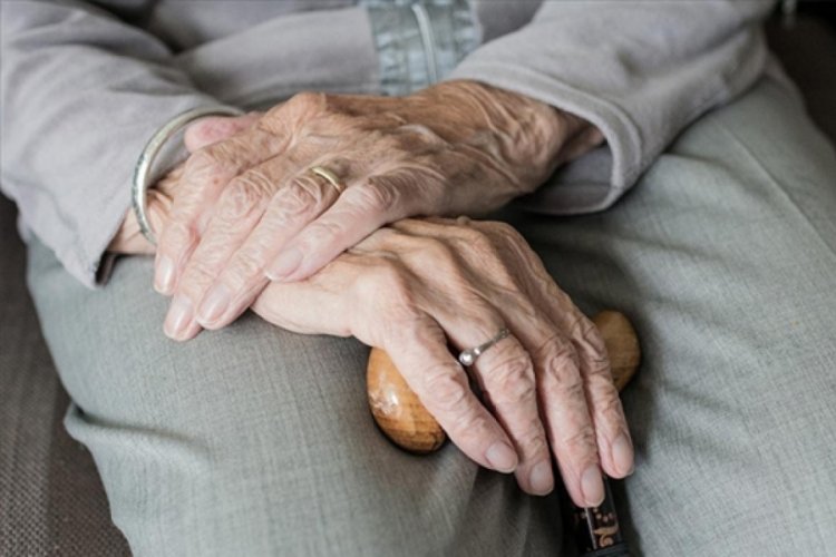 Bakan açıkladı! Yaşlı Destek Programı'na başvurular başladı