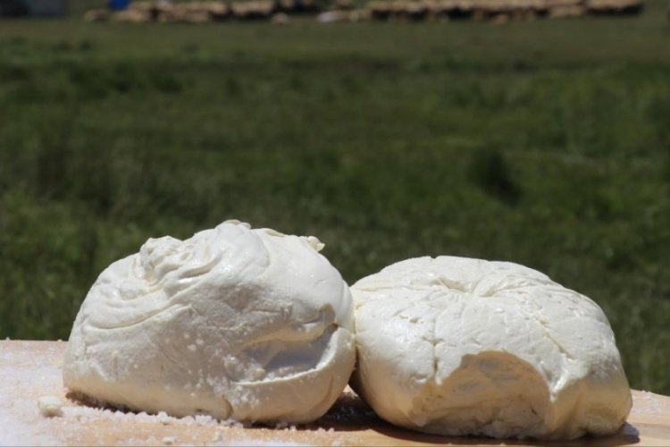 Erzincan tulum peyniri AB'de tescillendi