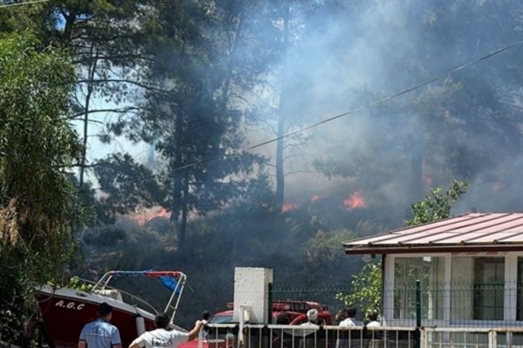 Muğla'da orman yangını: Havadan ve karadan müdahale