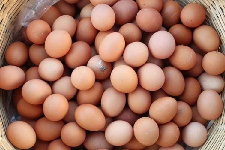 Sofralık yumurta ihracatına muafiyet düzenlemesi