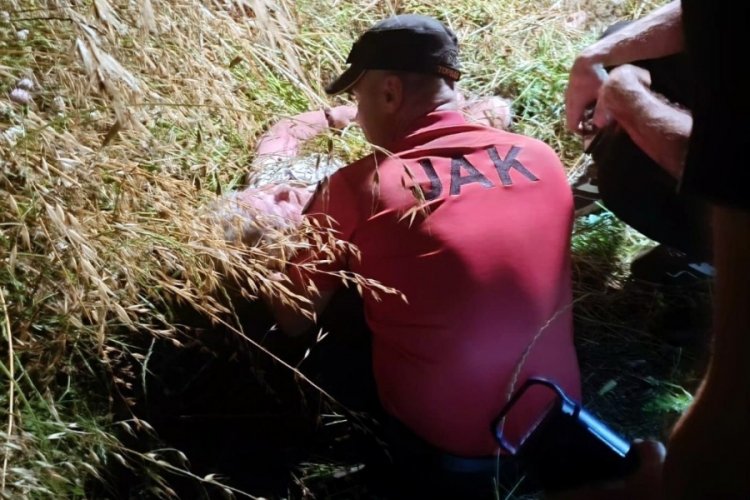 Kayıp kadın çalılıkların arasında yatarken bulundu