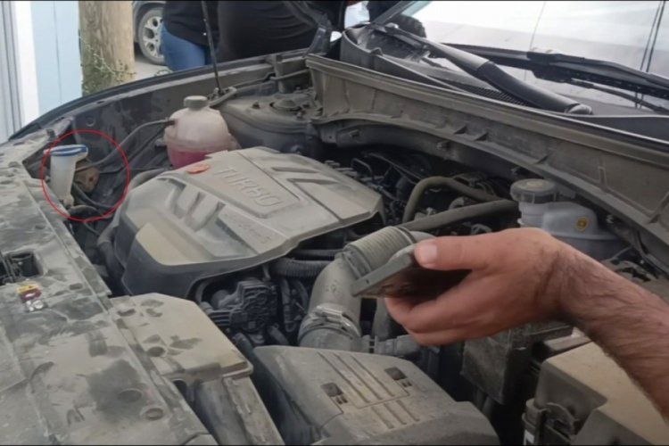 Aracın motoruna giren yavru kedi telefondan miyavlama sesi açılarak çıkartıldı