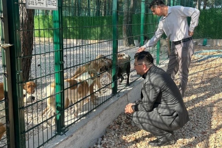 Bursa'da Tarım A.Ş. Genel Müdürü Akar'dan patili dostlara ziyaret