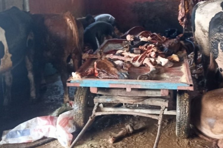 Adana'da 2,5 ton at eti ele geçirildi