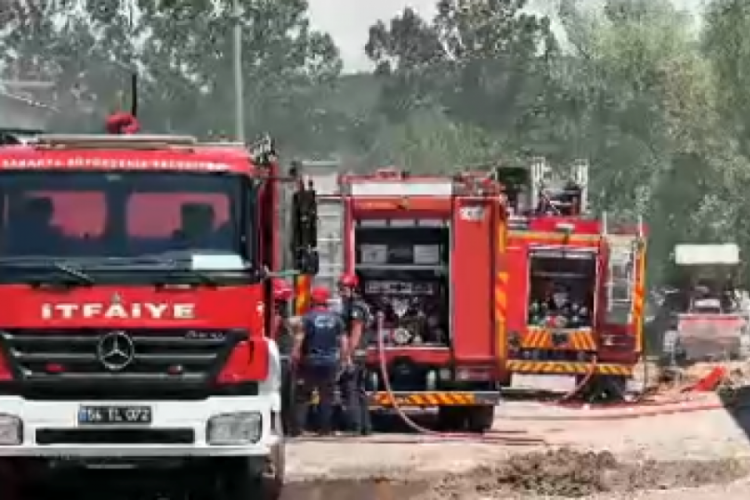 Kontrplak fabrikasında korkutan yangın