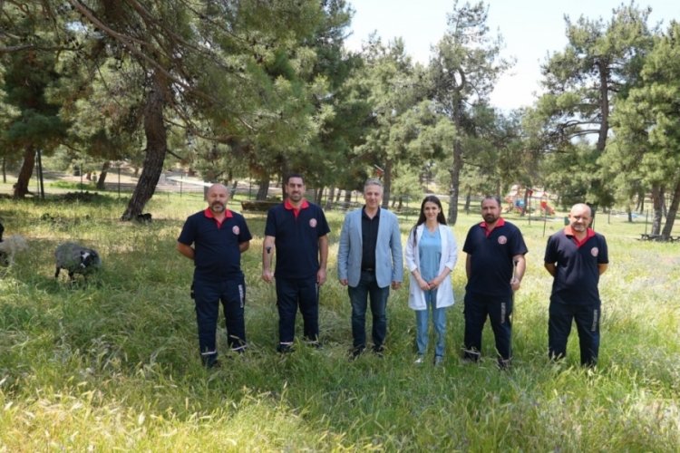 Gürsu kurban timi bayram boyunca hazır olacak!