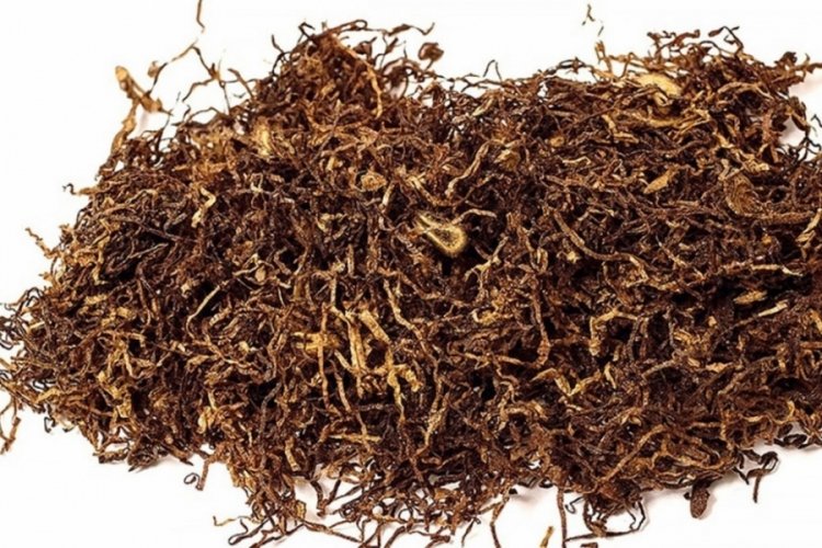Tütün ürünlerinde trajik son! Rakamlar şoke ediyor...