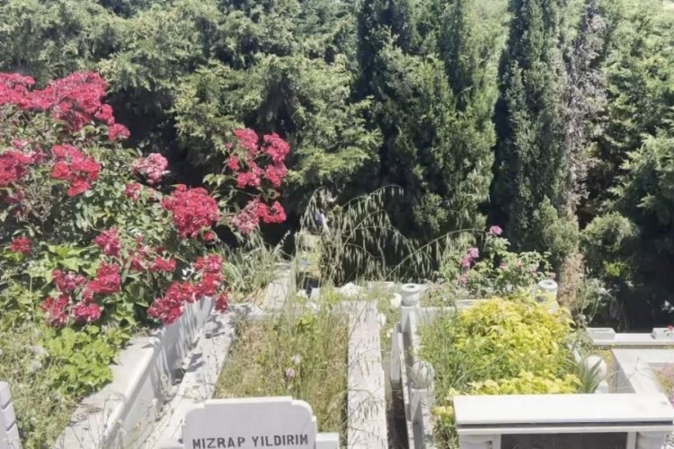 Mezarlıkta bebek cesedi bulundu! Vücudunda kan izleri...