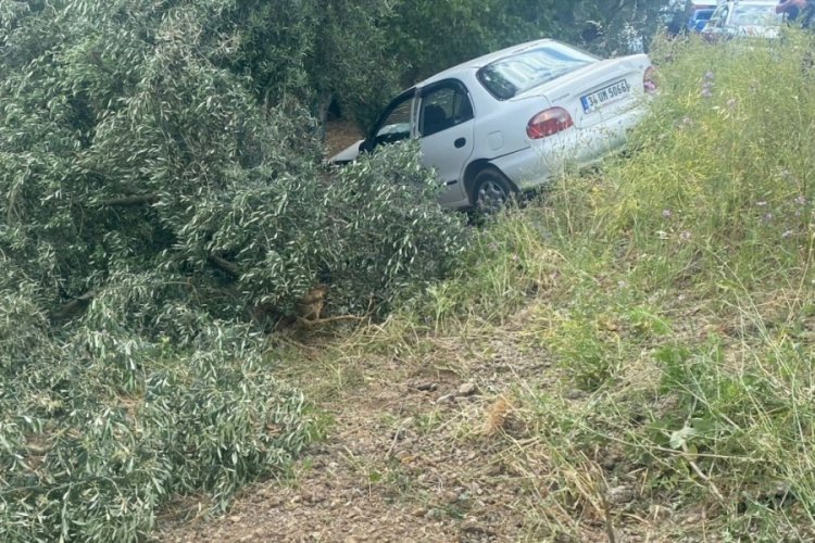 Bursa'da kontrolden çıkan otomobil zeytin tarlasına uçtu!