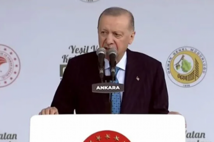 Cumhurbaşkanı Erdoğan: Orman varlığımız tehdit altında