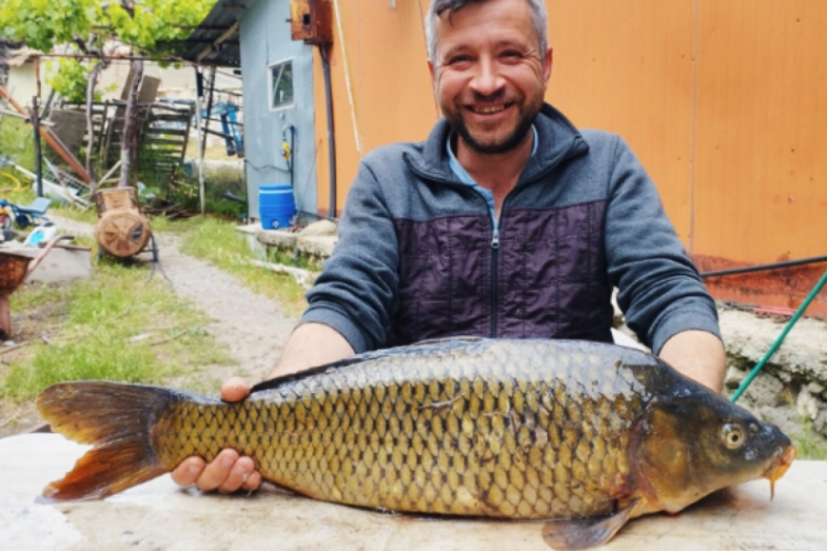 Tarlada yakaladı!  Tam 7 kilogram ağırlığında