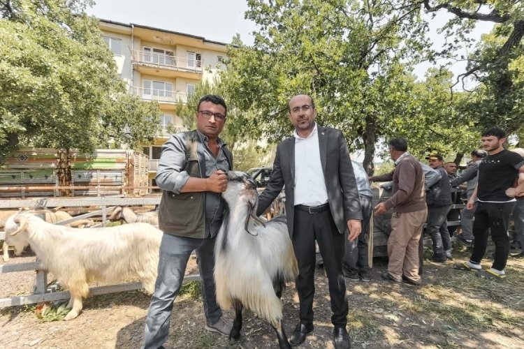 Bursa'da Kurban Bayramı öncesi hayvan pazarında denetim
