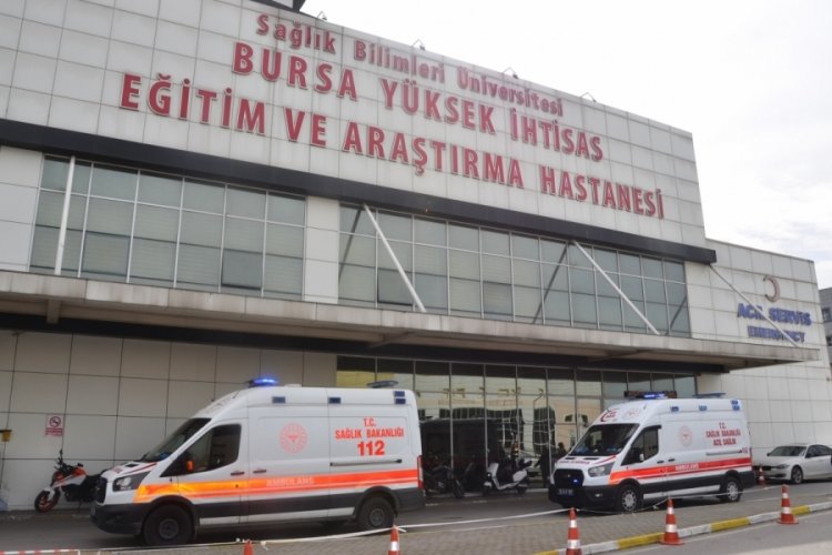Hayvan sakatatlarını sokağa atmayın!
