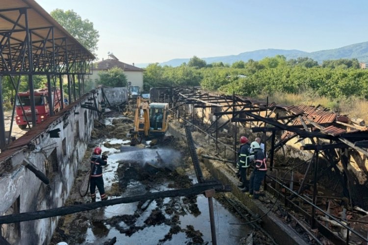 Bayrama iki gün kala yürek yakan yangın: Kurbanlıklar telef oldu