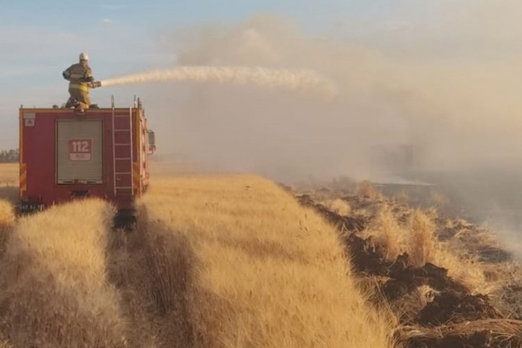 Buğday ekili alanda yangın! 350 dönüm alan zarar gördü