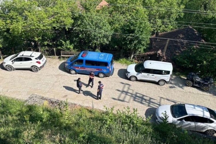 Köpek ölümleriyle ilgili inceleme başlatıldı