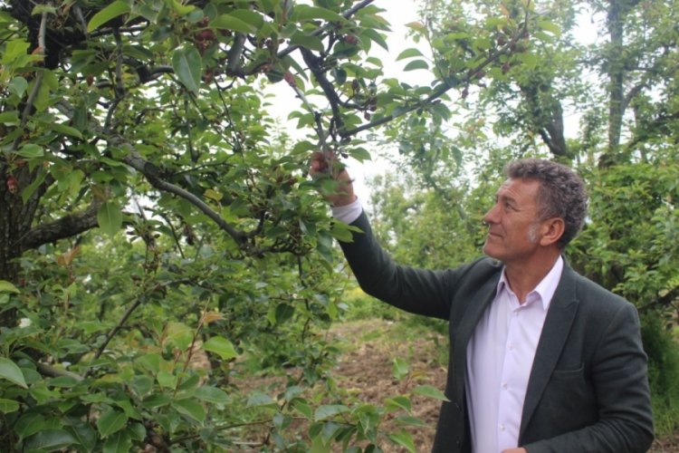 CHP Bursa Milletvekili Sarıbal'dan 'don' tepkisi!