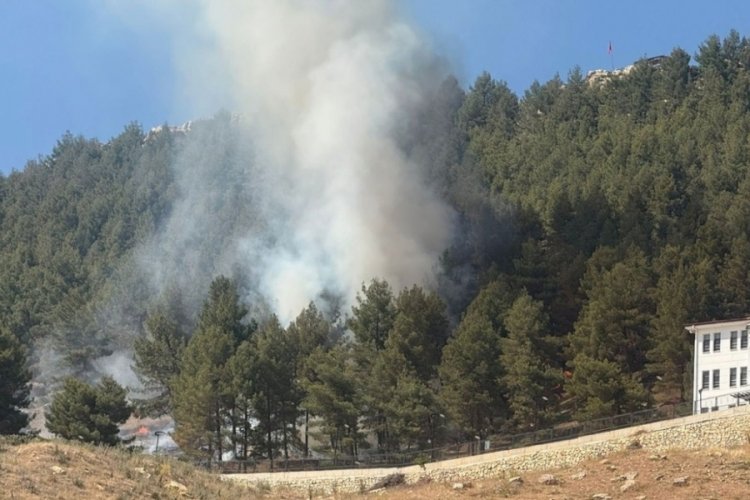 Adıyaman'da orman yangını