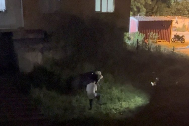 Bursa'da kurbanlık ipini kopardı!