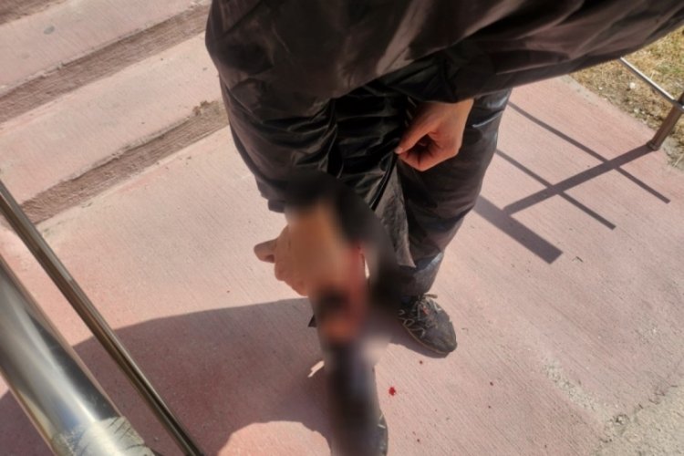 Bursa'da Kurban Bayramı'nda korkutan olay!