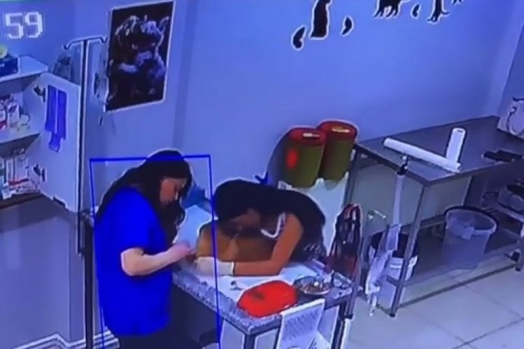 Köpeği için geldi, yere yığıldı! Bursa'da veterinerde şok anlar