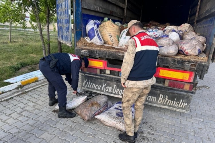 19 ton 200 kilo inci kefali balığı ele geçirildi