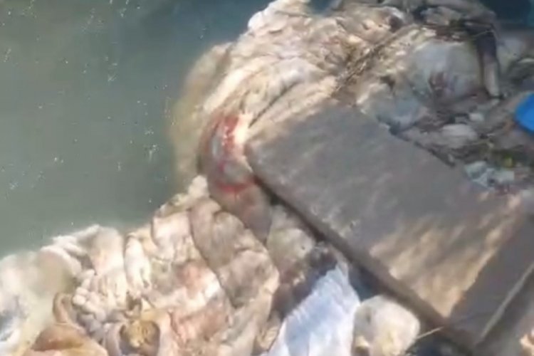 Vatandaşlar bu görüntüye isyan etti! Sulama kanalları doldu taştı