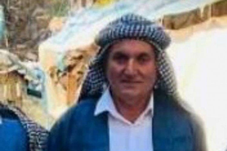 Şırnak'ta yılanın ısırdığı bir kişi hayatını kaybetti