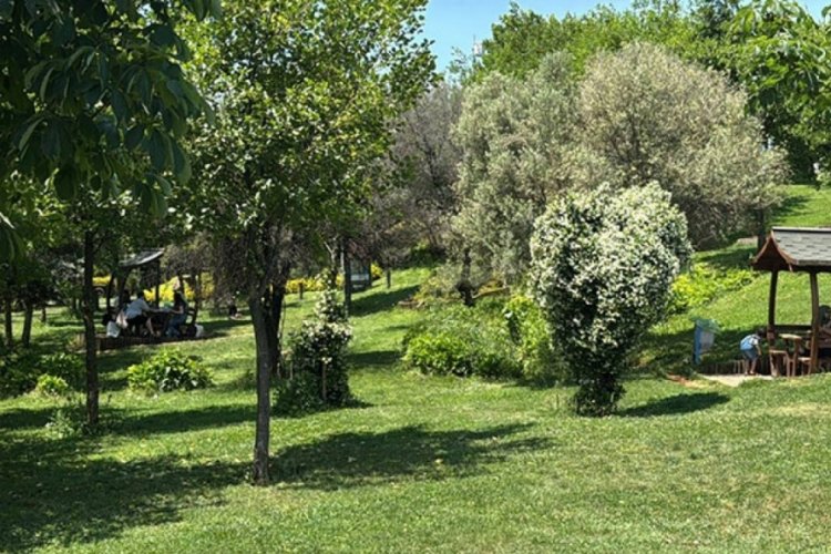 Parklara bahçelere çıkarken dikkat! Yeni türü keşfedildi...
