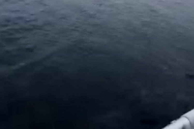 Bursa'da denize açılan gençler beklenmedik bir şeyle karşılaştı!