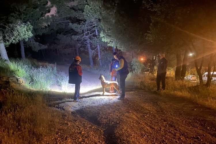 İstanbul Pendik'te ormana girdikten sonra haber alınamayan şahıs için arama çalışmaları başlatıldı