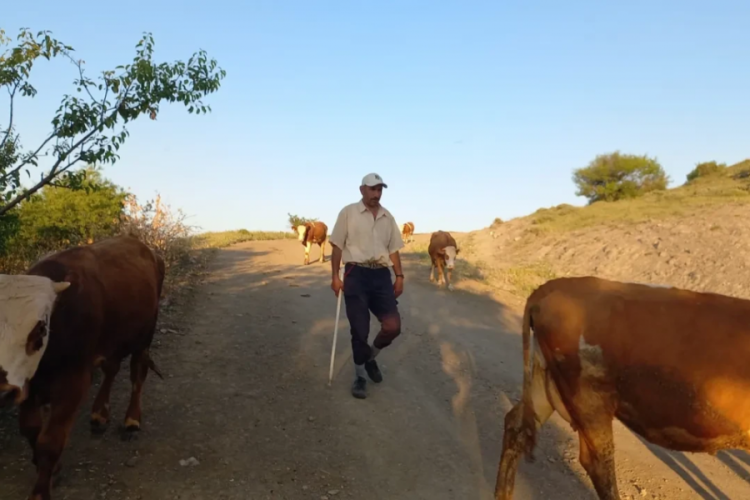 80 bin lira maaşı kabul etmiyorlar! Besiciler isyanda...