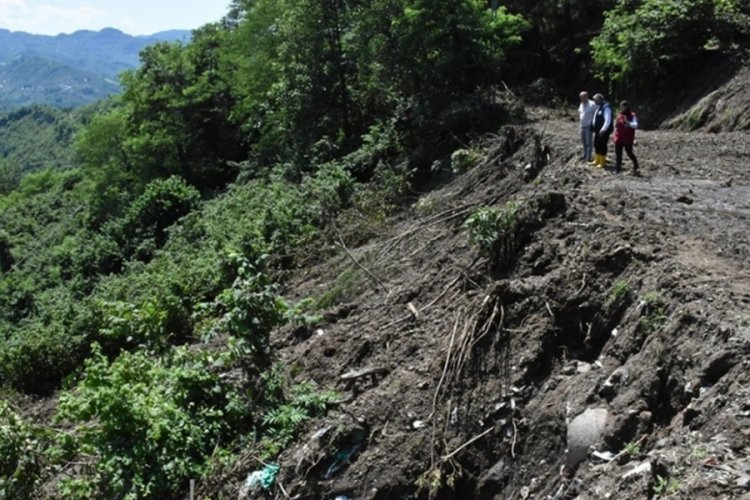 Fındık bahçesinde yamaçtan yuvarlandı: Feci şekilde can verdi!