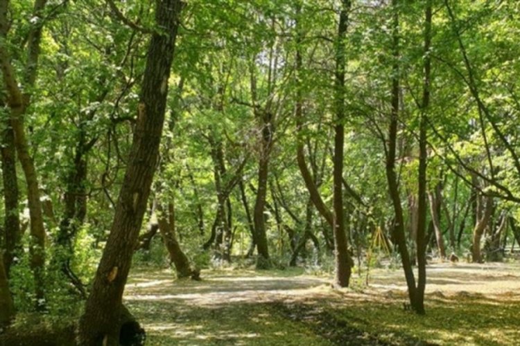2 gündür aranıyordu! Bakın nerede bulundu