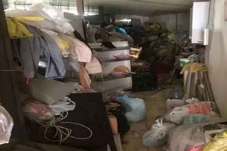 Çöplerin arasından 12 kedi ile 3 kaplumbağa çıktı!