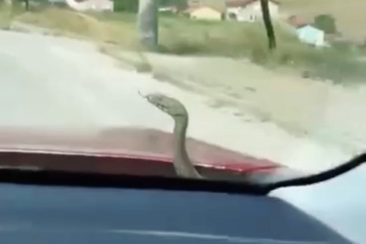 Kabus Türkiye'nin dört bir yanında devam ediyor! Yolculuğu viral oldu