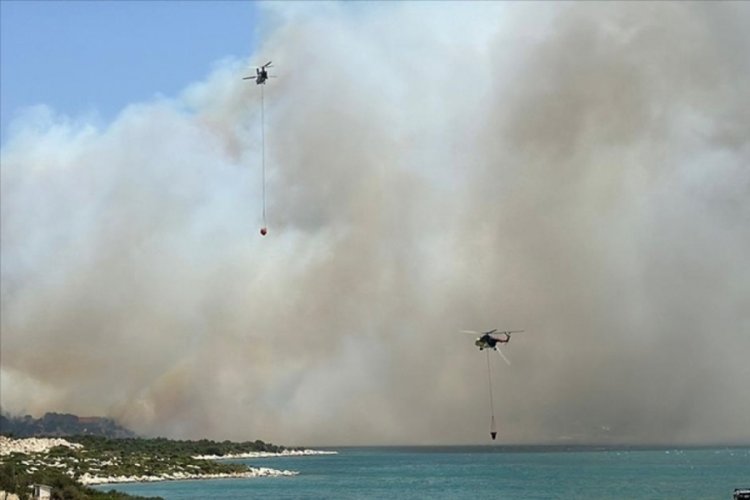 İzmir'de orman yangını!
