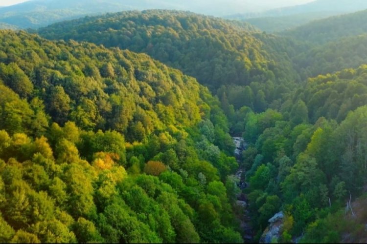Bursa'nın gözde piknik alanı için önemli çağrı!